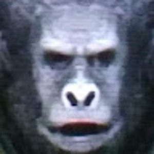 Meet your Posher, Gabriel